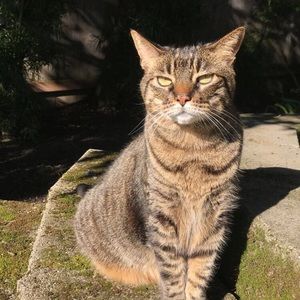 Meet your Posher, Alison